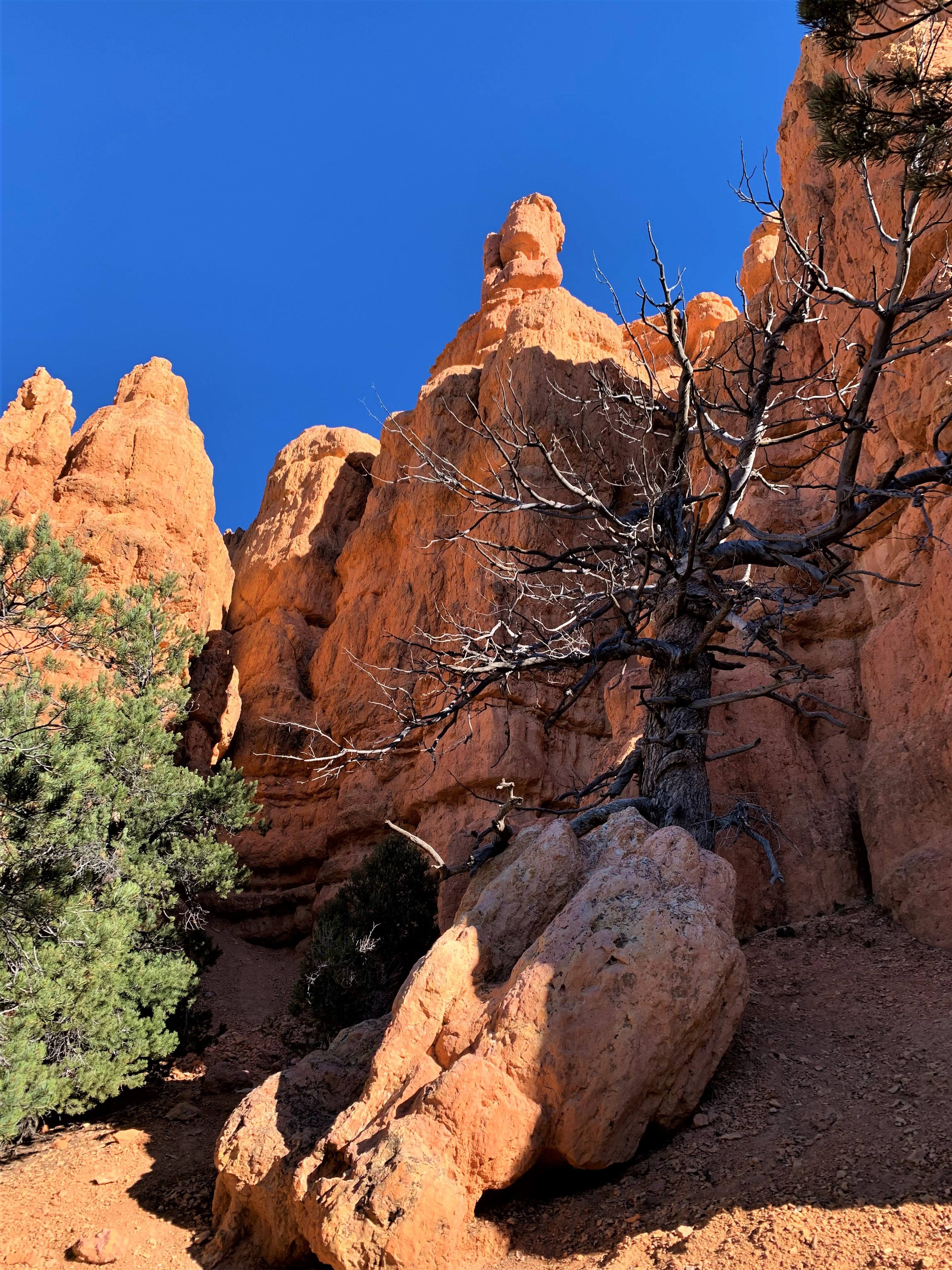 Red Canyon